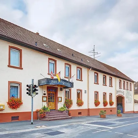 Hotel-gasthof Zum Freigericht Hotel Alzenau in Unterfranken