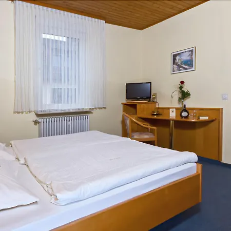 Hotel-gasthof Zum Freigericht 3*