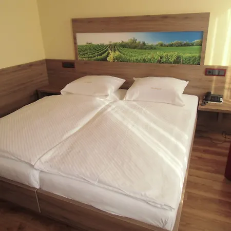 Hotel-gasthof Zum Freigericht מלון 3*