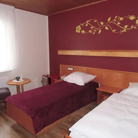 מלון Hotel-gasthof Zum Freigericht אלזנאו אין אונטרפראנקן