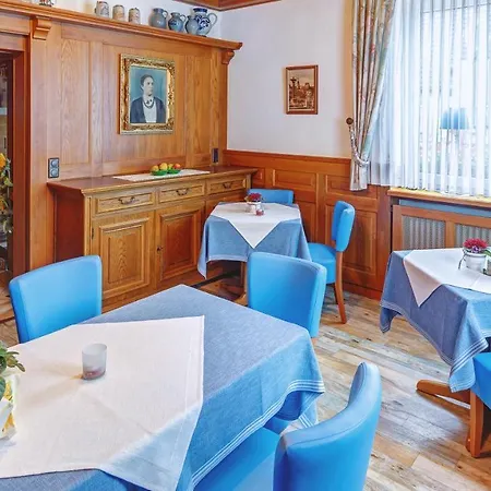 Hotel-gasthof Zum Freigericht מלון אלזנאו אין אונטרפראנקן